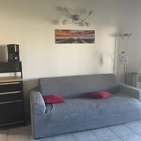 Appartement Beau Et Vaste 3 Pieces Avec Piscine Agde