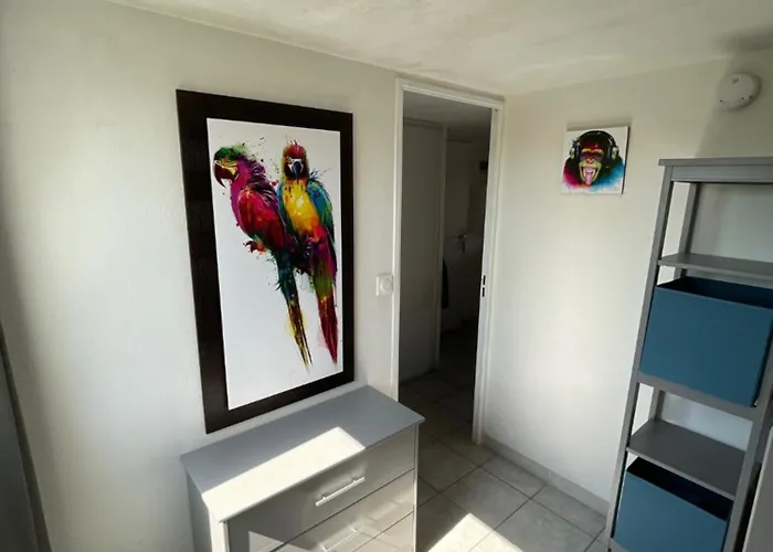 Beau Et Vaste 3 Pieces Avec Piscine Apartamento Agde