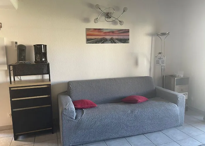 Apartamento Beau Et Vaste 3 Pieces Avec Piscine Agde